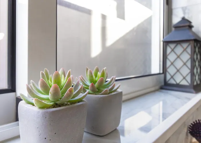 Valley Machico (Madeira)